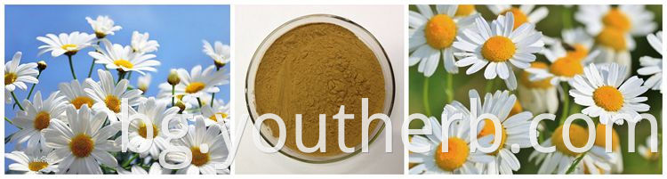 Customized Service High Quality 20:1 Chamomile Extract Powder